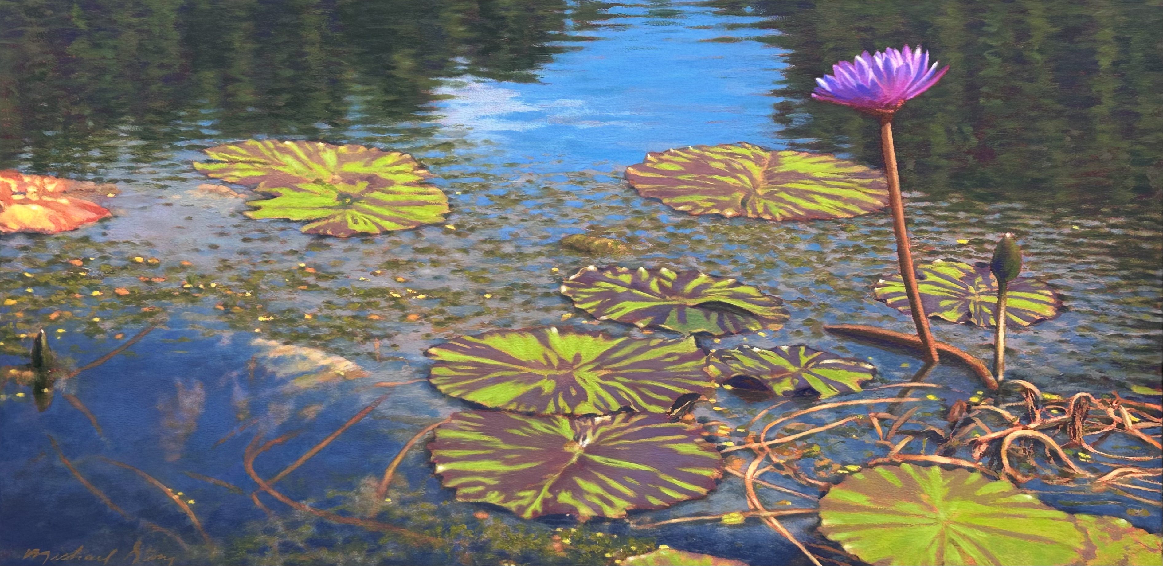 Water Lilies at Brookgreen, III